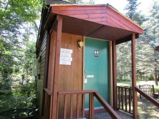 Secluded Pet-Friendly Cabin in the Woodlands near Reed City, Michigan - Irons - 5