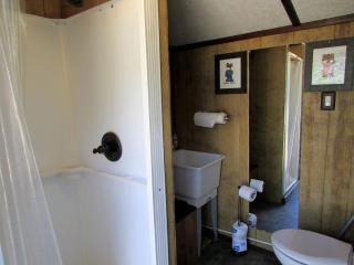 Secluded Pet-Friendly Cabin in the Woodlands near Reed City, Michigan - Irons - 4