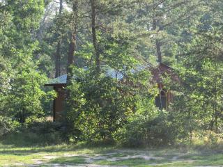 Secluded Pet-Friendly Cabin in the Woodlands near Reed City, Michigan - Irons - 3