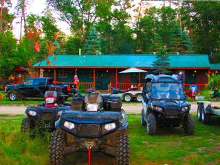 Secluded Pet-Friendly Cabin in the Woodlands near Reed City, Michigan - Irons - 2