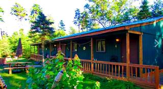 Secluded Pet-Friendly Cabin in the Woodlands near Reed City, Michigan - Irons - 1