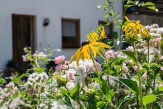 Ferienwohnung Vergissmeinnicht - Bad Peterstal-Griesbach - 5