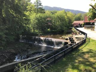 Chalets-zum-Ilsetal-Schloss-Chalet-Nr-19 - Ilsenburg - 3