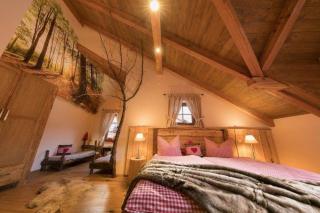 Chalets-zum-Ilsetal-Carl-Lambrecht-Chalet-Nr-19 - Ilsenburg - 4