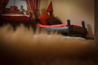 Chalets-zum-Ilsetal-Ilse-Chalet-Nr-19 - Ilsenburg - 3