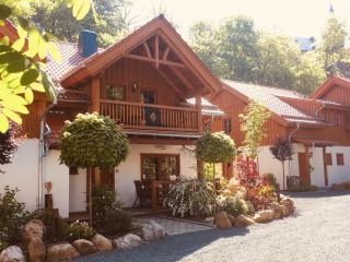 Chalets-zum-Ilsetal-Carl-Lambrecht-Chalet-Nr-19 - Ilsenburg - 3