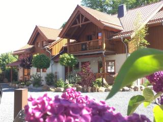 Chalets-zum-Ilsetal-Sport-Chalet-Nr-19 - Ilsenburg - 9