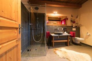 Chalets-zum-Ilsetal-Sport-Chalet-Nr-19 - Ilsenburg - 5