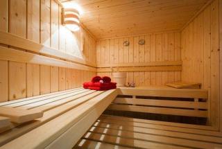 Chalets-zum-Ilsetal-Sport-Chalet-Nr-19 - Ilsenburg - 2