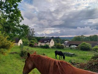 Ferme du Kastel Dinn - 9