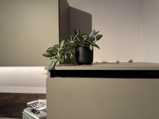 Stilapartment Oasis 2 - Wernigerode - 1