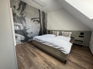 Stilapartment Oasis 2 - Wernigerode - 9