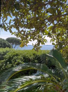 Villa du Plageron - Le Rayol-Canadel-sur-Mer - 9