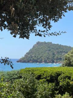 Villa du Plageron - Le Rayol-Canadel-sur-Mer - 5