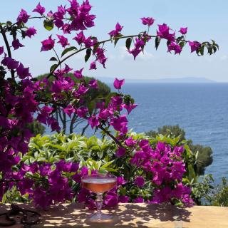 Villa du Plageron - Le Rayol-Canadel-sur-Mer - 3