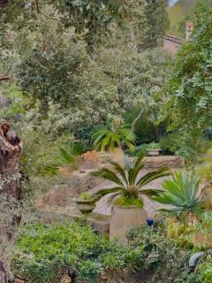 Villa du Plageron - Le Rayol-Canadel-sur-Mer - 2