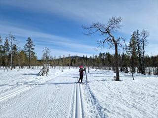 Syötteen Helmi - loistosijainti! - Pudasjärvi - 6