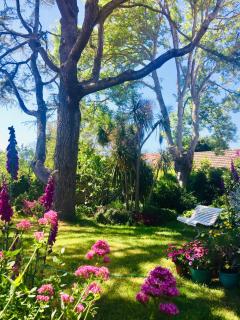 Les jardins du Tôt - 7