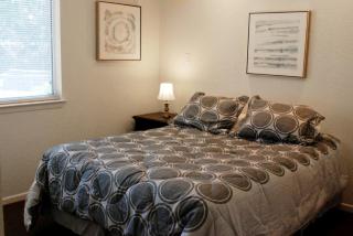 Waterfront Cabin Rental on the Banks of the Guadalupe River near San Antonio, Texas - New Braunfels - 3