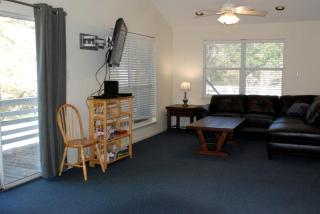 Riverfront Cabin Rental near Canyon Lake in New Braunfels, Texas - New Braunfels - 6