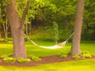 Idyllic Family Cabin with a Private Beach for a Getaway from Akron, Ohio - Wooster - 7