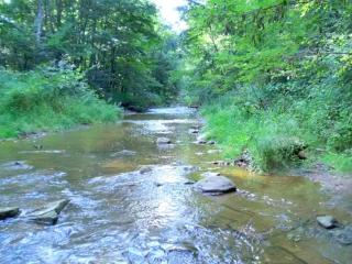 Idyllic Family Cabin with a Private Beach for a Getaway from Akron, Ohio - Wooster - 4