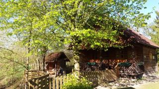 Steinschalerhof - Warth - 6