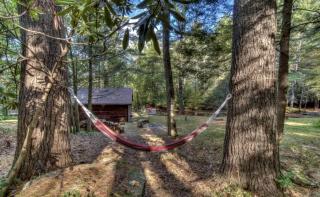 Cozy Cottage Rental with Small Private Pond in Canadensis, Pennsylvania - Canadensis - 9
