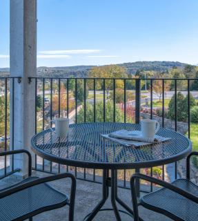 Wyndham Mountain Vista Studio Apartment with Resort Access - 3