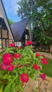 Greenwin Cabana Resort - Anuradhapura - 3