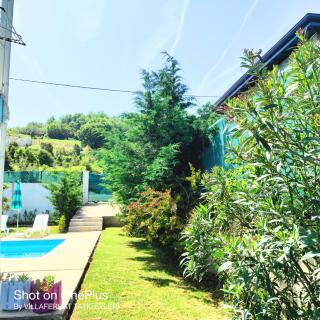 Villaferhat mavi - Karacaköy - 3