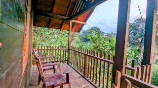Sinharaja Forest Lodge - Deniyaya - Dombagoda - 2