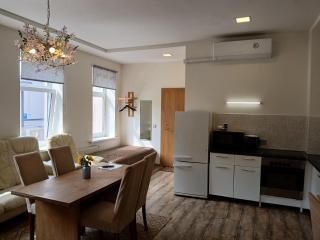 Big apartment in city center - Kaunas - 7