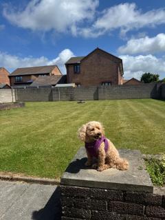 Maesllan - A Spacious Holiday Home in Porthcawl - 5 bedrooms, sleeps up to 10 people - Porthcawl - 6