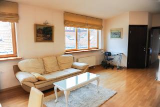 Rooftop Charm Stylish 2BDR Steps from Town Hall - Vilnius - 3