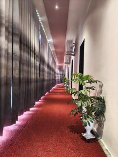 Marco luxury hotel - Anand - 8