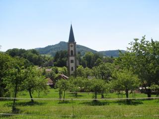 Alte Schmiede - Reichenbach - 8