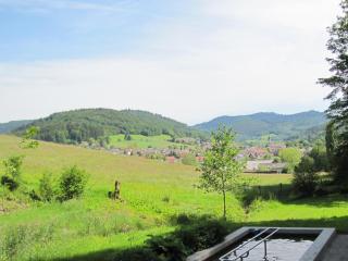 Alte Schmiede - Reichenbach - 3