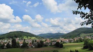 Alte Schmiede - Reichenbach - 2