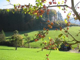 Alte Schmiede - Reichenbach - 6
