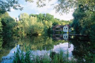 Steinschalerhof - Warth - 9