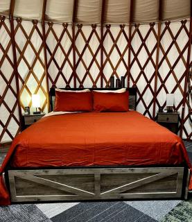 Incredible Equipped Yurt Amazing for a Glamping Experience in East Meredith, New York - 7