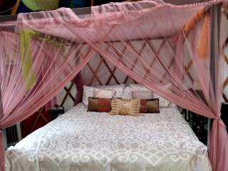 Peaceful Yurt Rental Perfect for Glamping in North Carolina - - 9