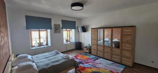 Hotel Korek - Frýdek-Místek - 9