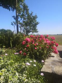 Plain-pied En Rez-de-jardin - Mahalon - 8
