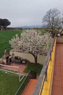 Casa fantástica en zona tranquila - Girona - 6