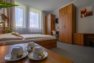 Hotel u Ledu - Velké Popovice - 5