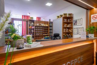 Hotel u Ledu - Velké Popovice - 8