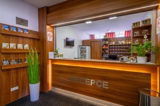 Hotel u Ledu - Velké Popovice - 9