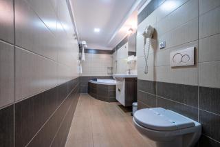 Hotel u Ledu - Velké Popovice - 3